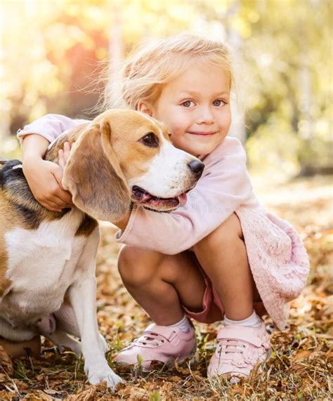 Little Girl Hugging A Dog Stock Image Image Of Domestic 223081763