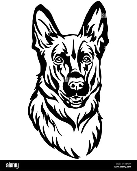 Decorative Portrait Of Dog German Shepherd Vector Isolated