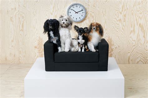 Ikea Launches Pets Collection Lurvig For Cats And Dogs Indesignlive