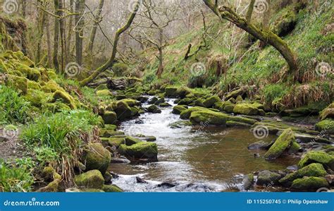 Hillside Stream Running Through Mossy Rocks And Boulders With