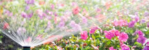 If you're searching for the best lawn fertilization service near me, your search ends with massey's greenup and weed control program. The 10 Best Sprinkler Repair Services Near Me (with Free Estimates)