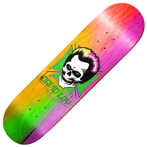 Birdhouse David Loy Skull Rainbow Skateboard Deck 838 Skateboards
