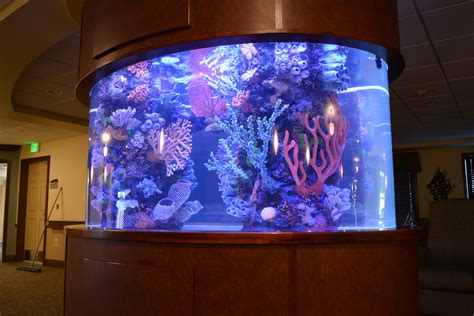 Artificial Inserts For Aquariums Midwest Custom Aquarium