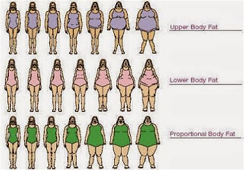I Love Fun Female Body Type Chart