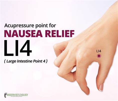 The Large Intestine Point 4 Is Palliative Acupressure Point For Nausea Relief