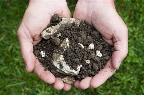 Find Out Your Soil Type