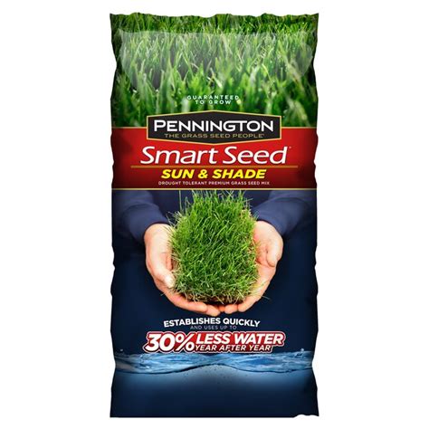 Pennington Smart Seed 3 Lb Mixtureblend Grass Seed In The Grass Seed