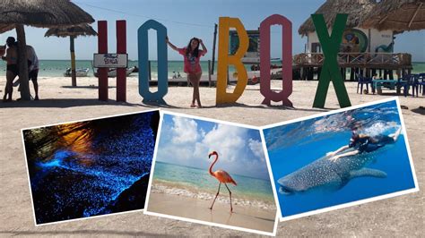 Guía Para Visitar ¡holbox ☀️ ¿en Donde Se Pueden Ver Flamingos Youtube