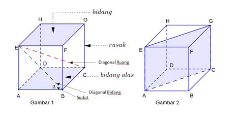 Diagonal Bidang Dan Diagonal Ruang Kubus Dan Balok Riset
