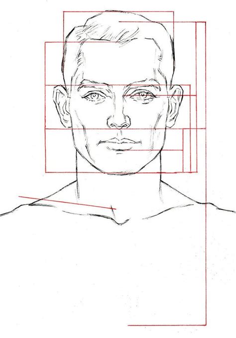 Learn To Draw Faces In 2020 Head Proportions Face Drawing Drawings