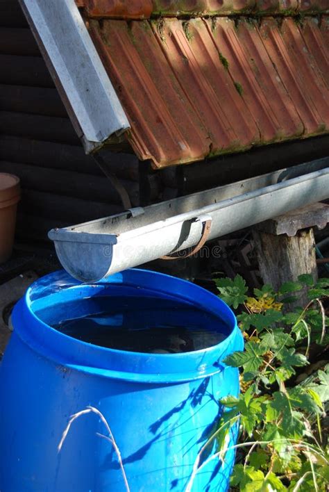 Collecting Rainwater For Watering The Garden Stock Image Image Of