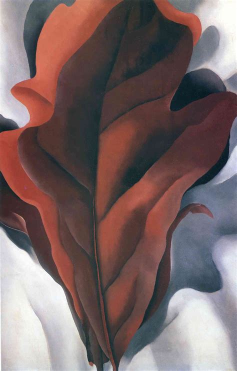 Large Dark Red Leaves On White Georgia Okeeffe