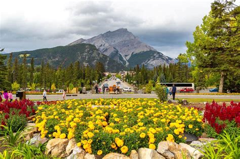 Spring In Canada Destinations And Travel Tips Canada Crossroads