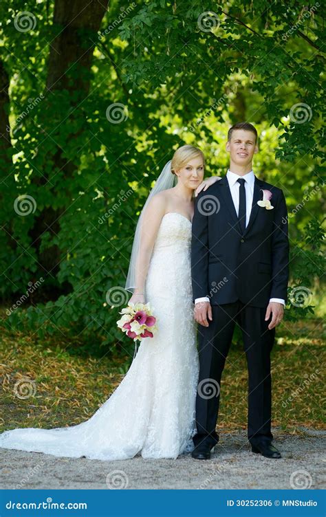 Beautiful Bride And Groom Stock Photo Image Of Portrait 30252306