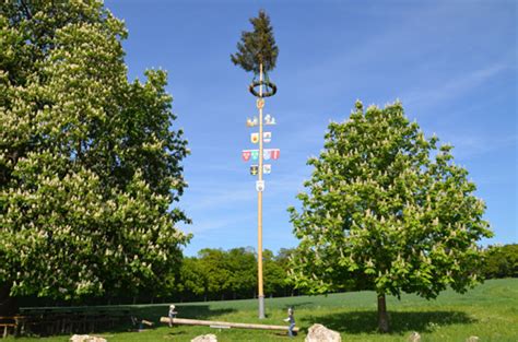 He is very open and is willing to listen to student feedback. Der Maibaum (maypole) | German Language Blog