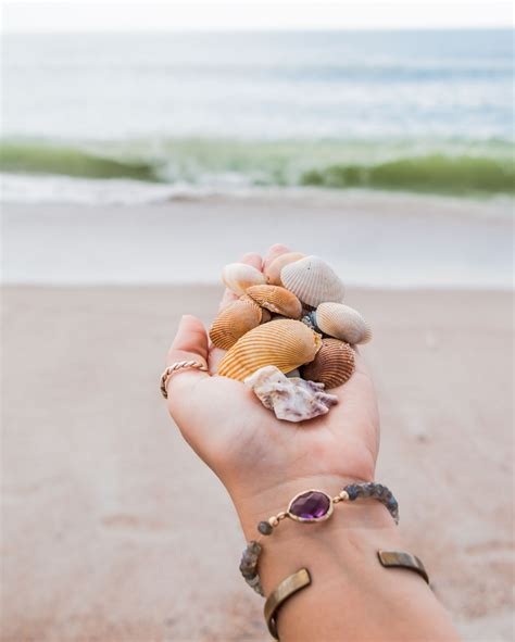 She Sells Sea Shells She Sells Seashells Fernandina Beach Instagram Photo