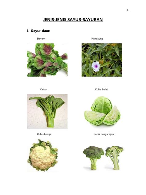 Detail Contoh Sayuran Bunga Koleksi Nomer 13