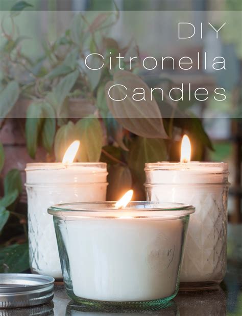 The Fun Diy Citronella Candles