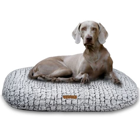 Croc Oval Cushion Dog Bed Large Light Gray