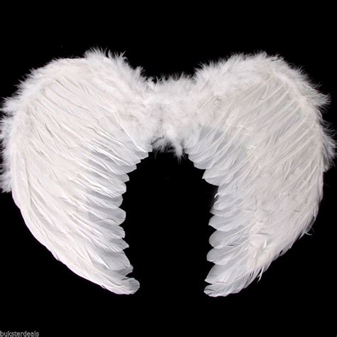Free Photo White Angel Wings Angel Feathers White Free Download