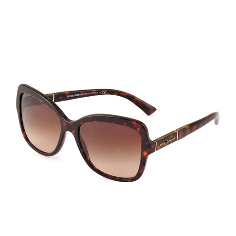 Dolce And Gabbana Dolce And Gabbana 4244 Sunglasses In Brown Lyst