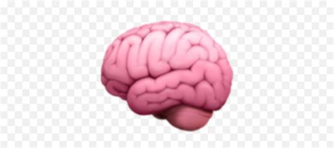 Brain Emoji Brain Emoji Pngemoji Brain Free Transparent Emoji
