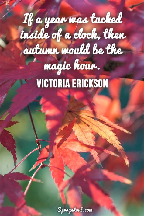 Autumn Quotes And Short Sayings To Make You Fall In Love With Leaves