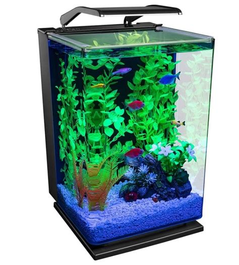 Best 5 Gallon Fish Tank In 2024 Reviews And Buying Guide Ibmk