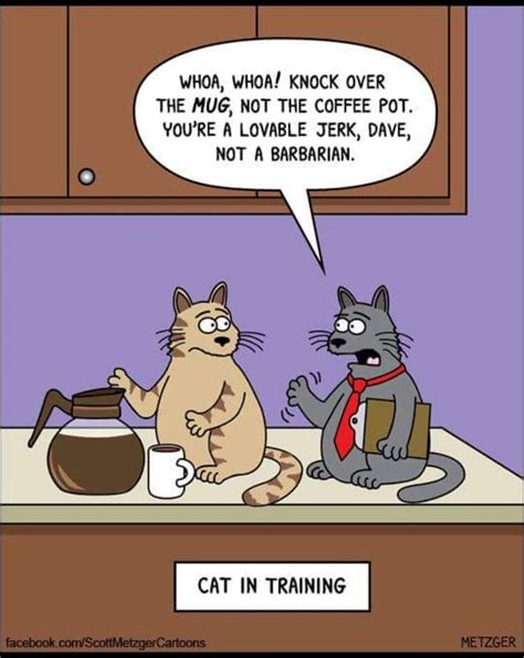 Lovable Cat In Training Funny Cartoons Cartoons Comics Funny Comics