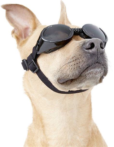 Buy Doggles Ils Dog Goggles Metallic Black X Large At Free