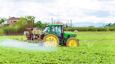Tractor Spraying Pesticide Pesticides Or Insecticide Spray On Lettuce Or Iceberg Field At