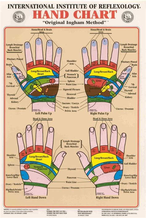The Absolute Beginners Guide To Hand Reflexology Hand Reflexology