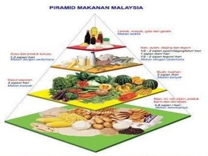 Di malaysia, piramid makanannya mempunyai gabungan 5 jenis kumpulan makanan yang diletakkan pada 4 aras tingkat berbeza. Terkeren 30 Gambar Kartun Piramid Makanan - Gambar Kartun Mu