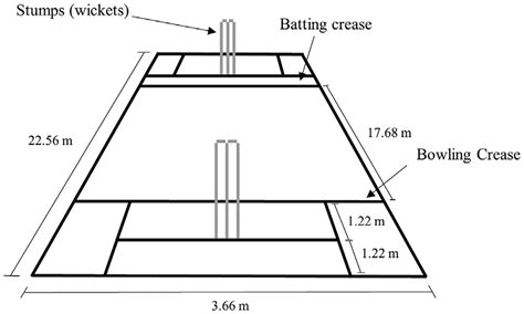 A Standard Sized Cricket Pitch Download Scientific Diagram