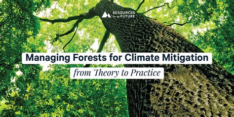 Managing Forests For Climate Mitigation From Theory To Practice The