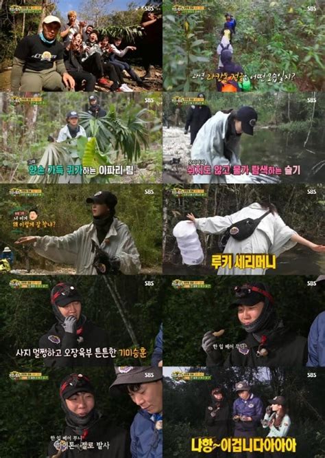 The following law of the jungle episode 423 english sub has been released today on our website. "Law Of The Jungle" Enjoys Highest Ratings This Season ...