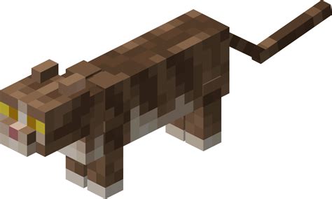 Minecraft Cat Png Png Image Collection