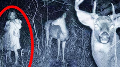 10 Scary Things Caught On Camera In The Woods Youtube