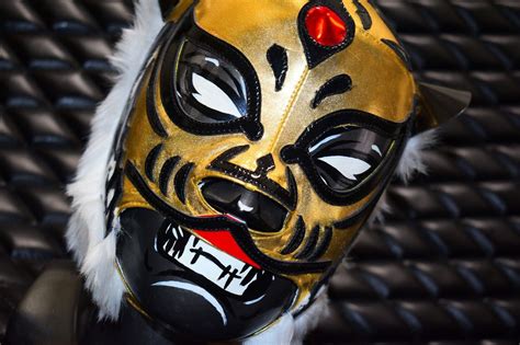 Tiger Mask Wrestling Mask Luchador Wrestler Lucha Libre Mexican Costume Mask Ebay