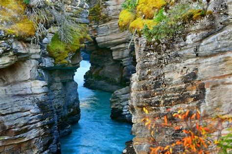 Athabasca Falls Canyon In Autumn Jasper National Park Alberta Canada
