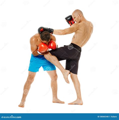 Kickboxers Sparring On White Stock Photo Image Of Gloves People