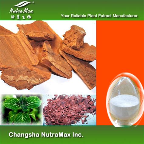 China 100 Natural Yohimbe Bark Extract Yohimbine Hcl 8~98 China