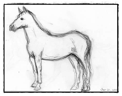 Mewarnai Gambar Sketsa Kuda Berdiri Terbaru Kataucap