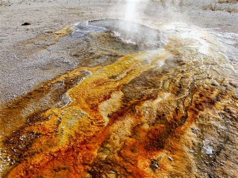 Geysers And Thermal Lakes In Yellowstone Stock Image Image Of Magical