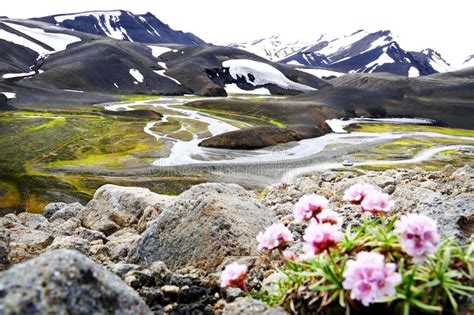Landmannalaugar Landscape In Iceland Summer Stock Image Image Of