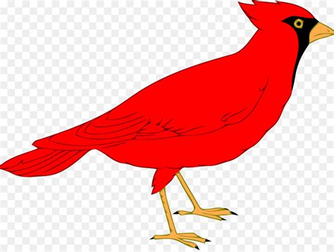 Cardinals Images Clipart 10 Free Cliparts Download Images On