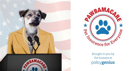 Most leading pet insurance companies give pet owners comprehensive coverage at an affordable monthly premium. Pawbamacare | Affordable pet insurance for cats and dogs
