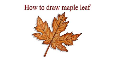 Sure sure — drawing a leaf should be simple enough that we can just get right down to it. How to draw maple leaf step by step (very easy) - YouTube