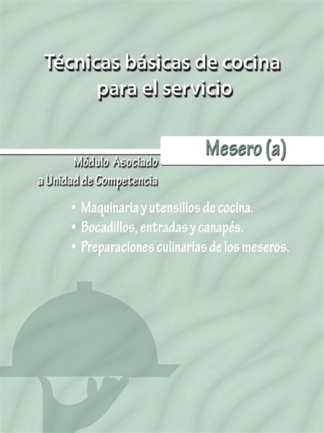 Técnicas de cocina al vacío y de cocina a baja temperatura. Tecnicas Basicas de Cocina Para El Servicio | Cocina | Carne