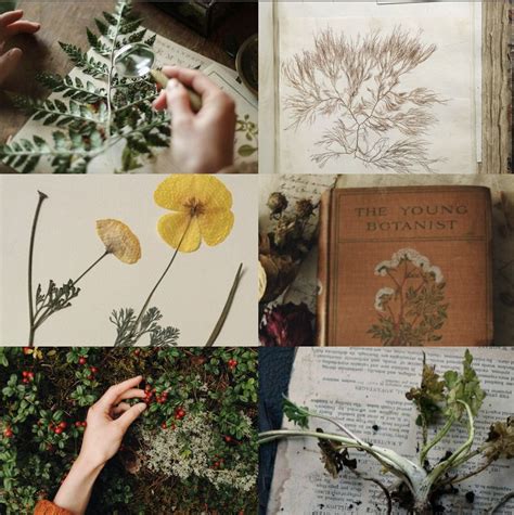 Botany In 2021 Botanical Art Plant Aesthetic Botany